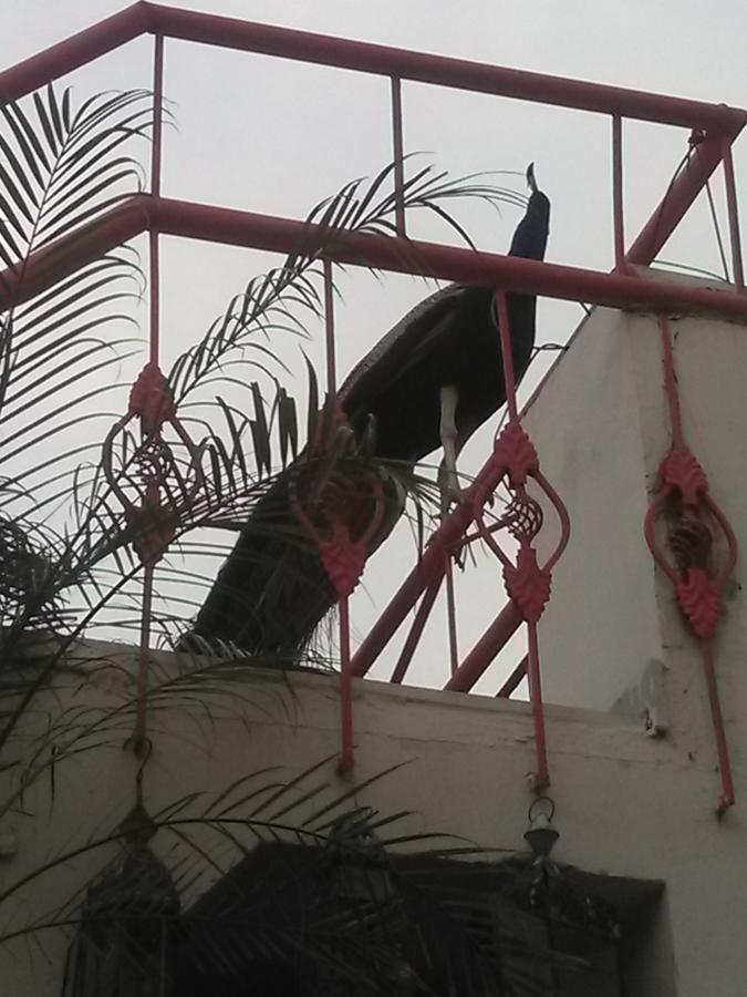 Bed and Breakfast Jaypore House Neu-Delhi Exterior foto